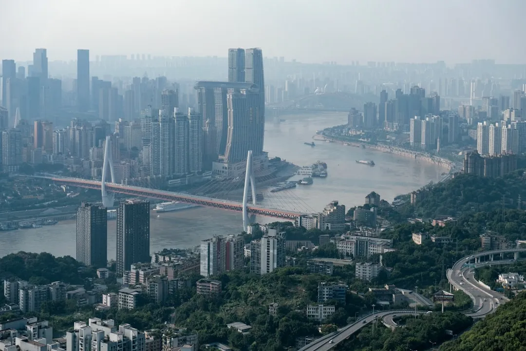 企业咨询服务与财税代理对比：广东创业者该如何选择合适方案