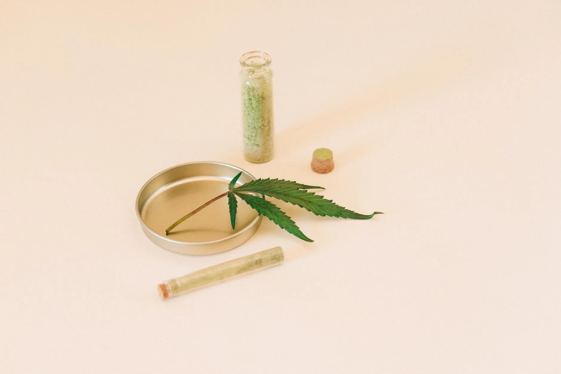 商务服务与企业咨询如何协同助力初创公司规范运营管理